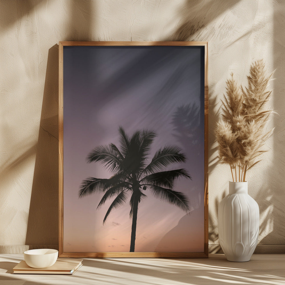 Palm Tree